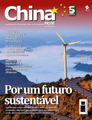 Em busca do desenvolvimento sustentável