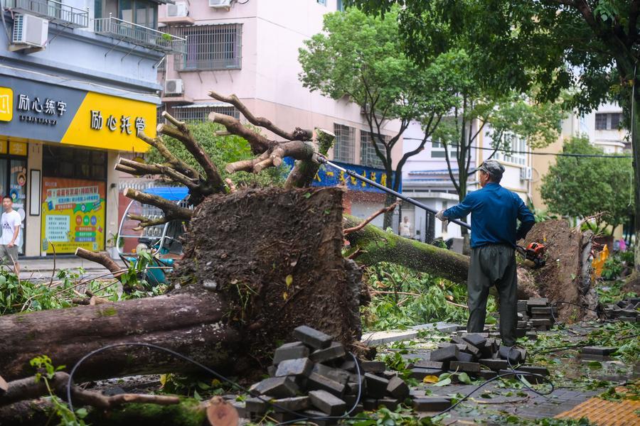 Um trabalhador remove árvores derrubadas pelo tufão Dolphin em uma rua do condado de Yongjia, em Wenzhou, província de Zhejiang, no leste da China, em 10 de agosto de 2026. (Xinhua/Jiang Han)