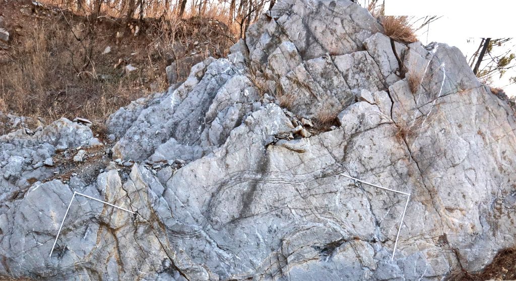 China acha rastros de caranguejo-ferradura gigante do Triássico